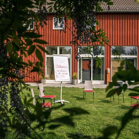 Landhaus Alte Schmiede Niemegk  Dış mekan fotoğraf