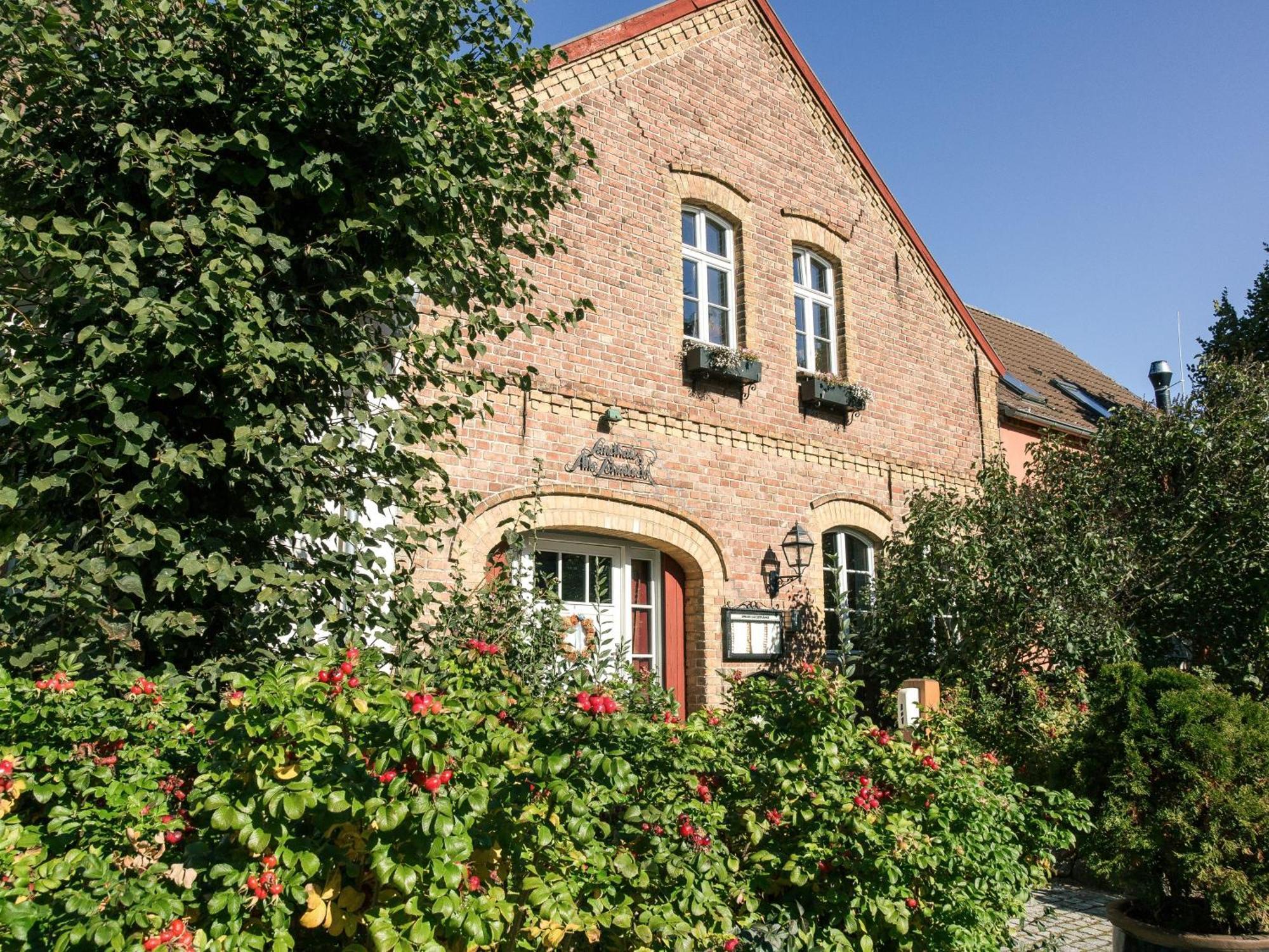 Landhaus Alte Schmiede Niemegk  Dış mekan fotoğraf
