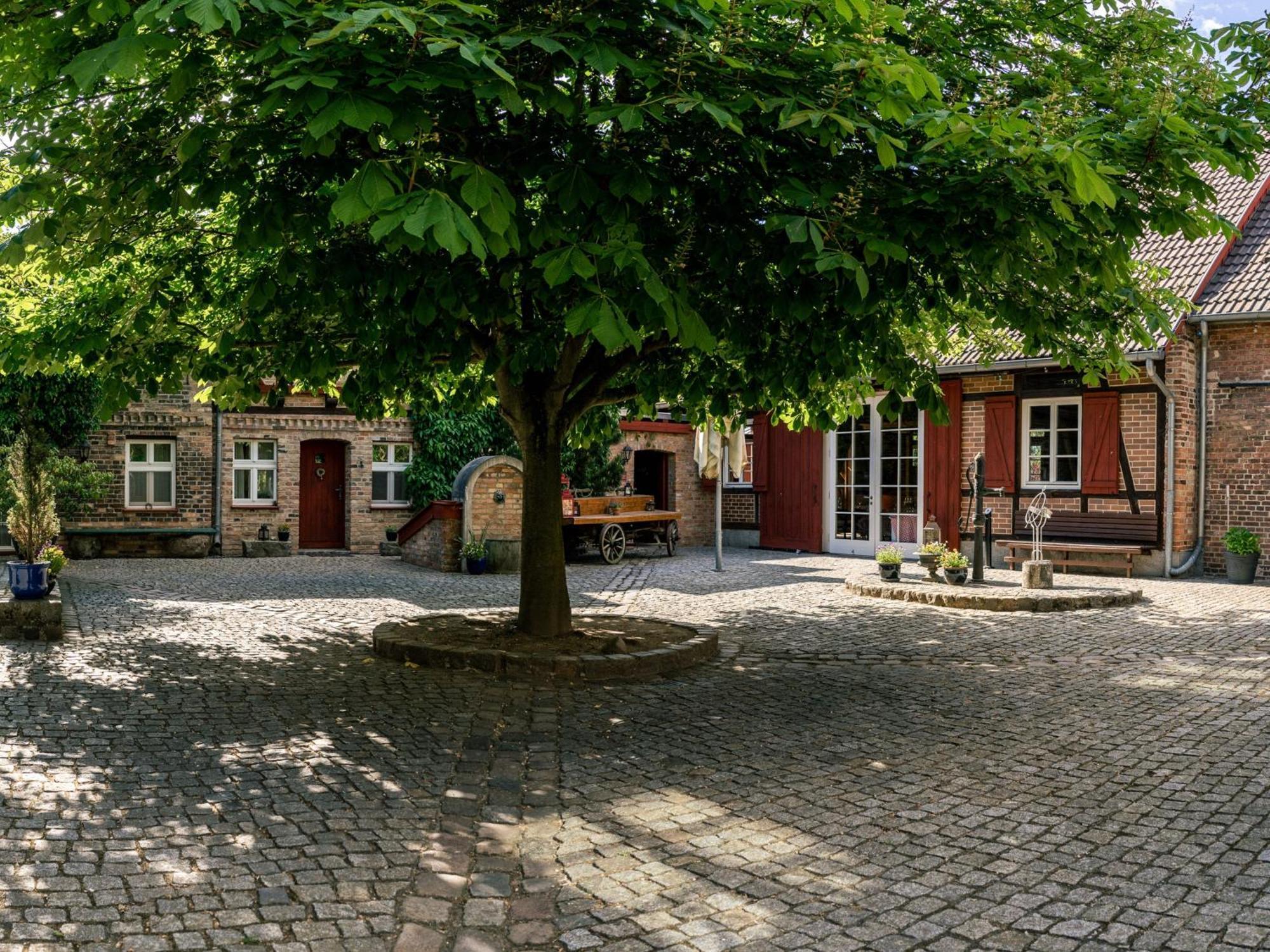 Landhaus Alte Schmiede Niemegk  Dış mekan fotoğraf